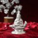 Shri Jhulelal silver Pokal Murti