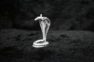 Silver Solid Naag Murti